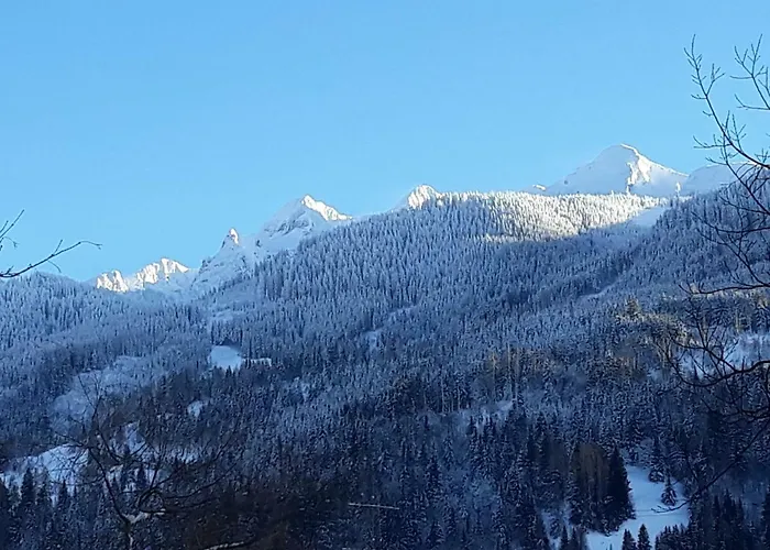 홈스테이 Haus Eberl